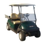 Buggy eléctrico Club Car Precedent C2 - Almara Vehículos Eléctricos