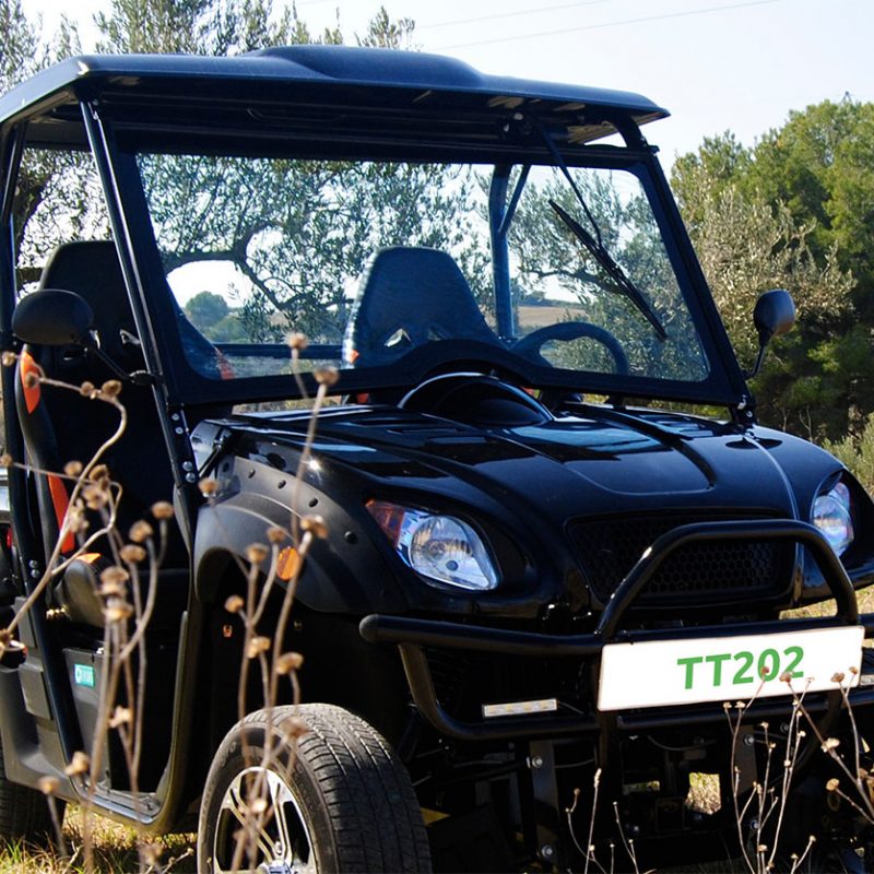 tt-202-vehículo-eléctrico-características-almara-españa